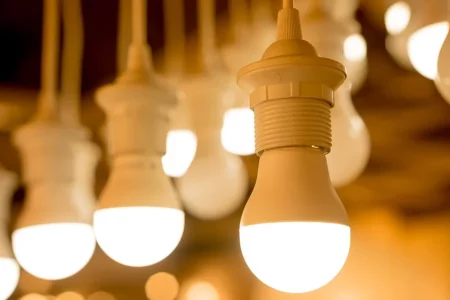 ImageForArticle_1896_17309056122954846